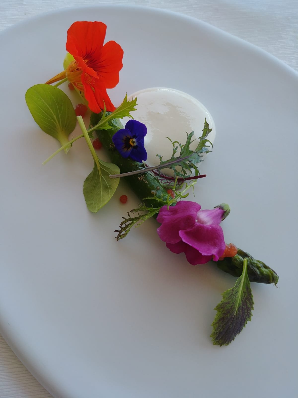 Piatto gourmet con spuma bianca decorata con fiori eduli, germogli e petali colorati