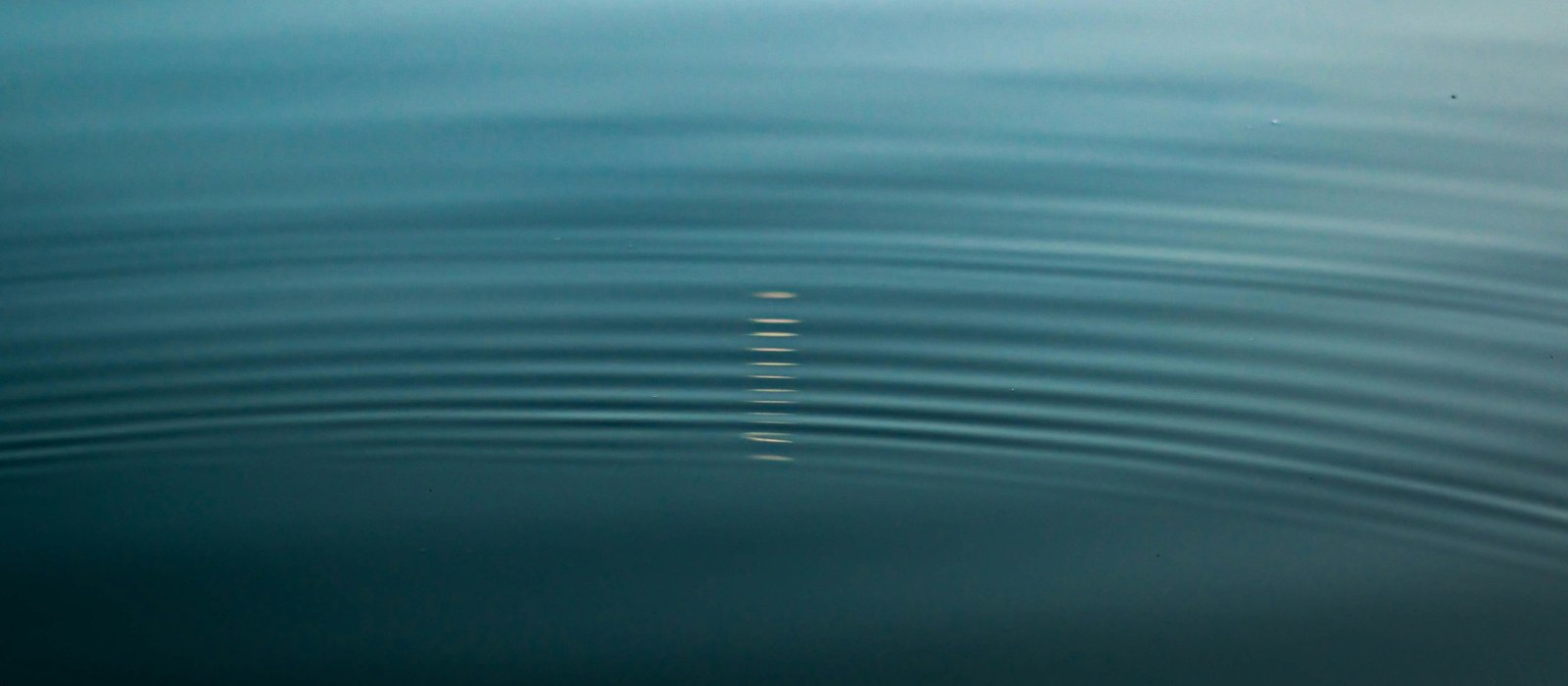 Onde concentriche che si propagano sulla superficie dell'acqua